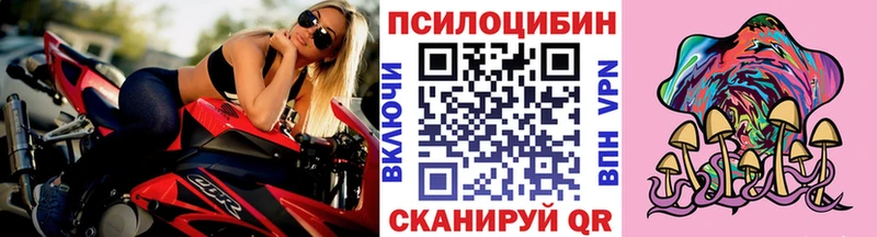 как найти закладки  Димитровград  Псилоцибиновые грибы мицелий 